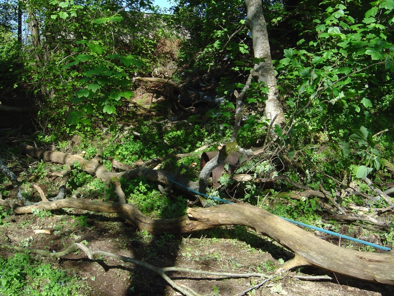 30th May 2009 012